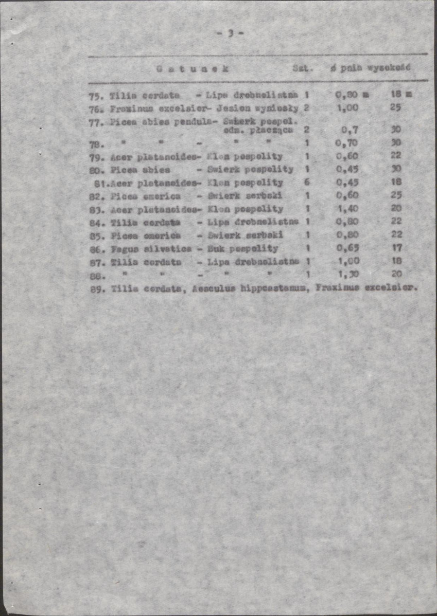 Ewidencja parkowa, skan nr 13