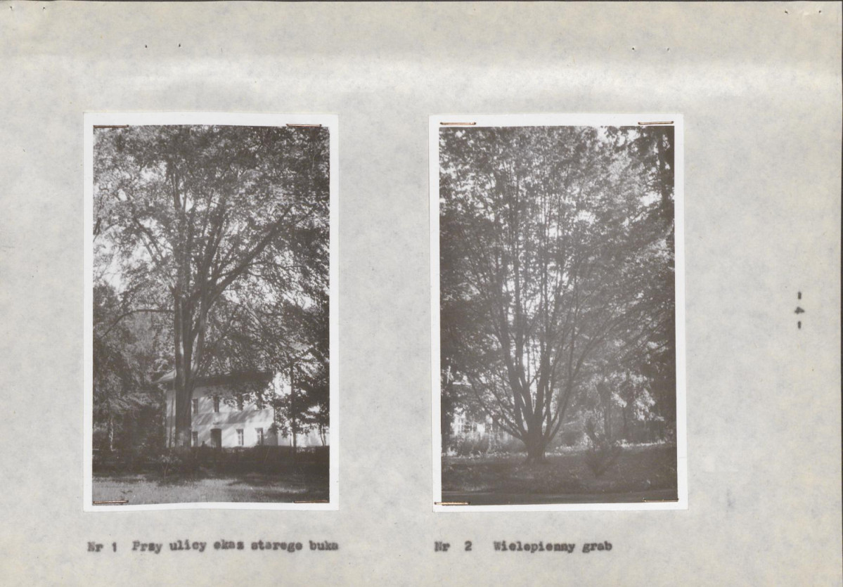 Ewidencja parkowa, skan nr 14