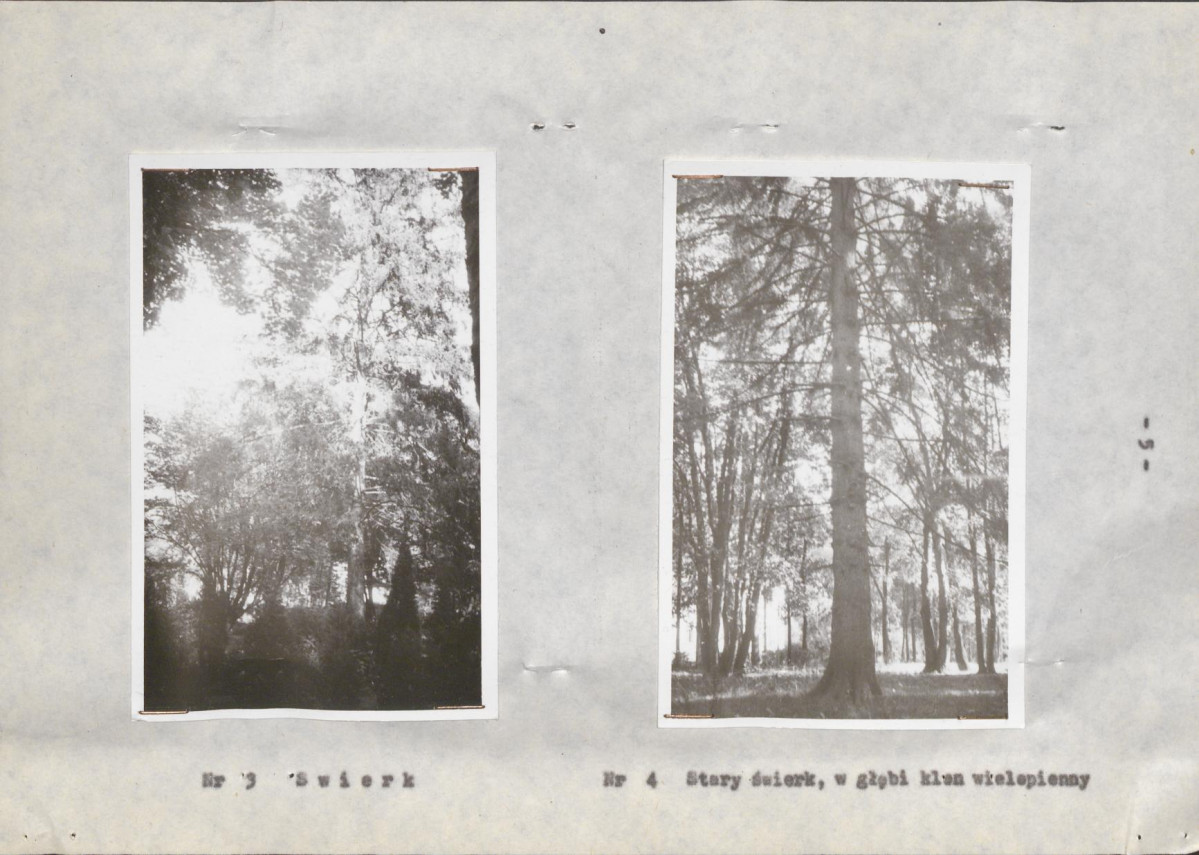 Ewidencja parkowa, skan nr 15