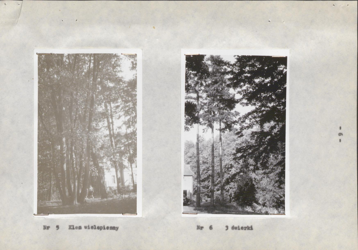 Ewidencja parkowa, skan nr 16