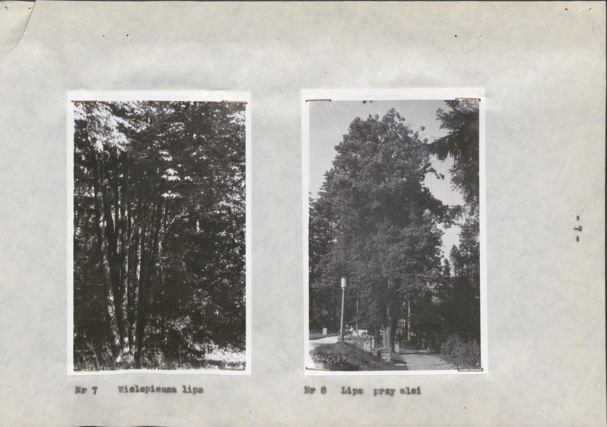 Ewidencja parkowa, skan nr 17