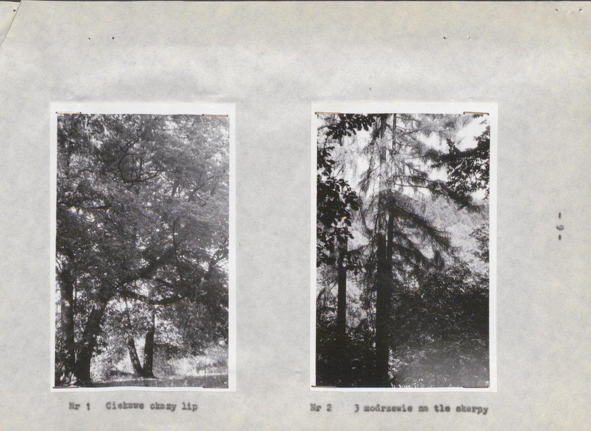 Ewidencja parkowa, skan nr 19