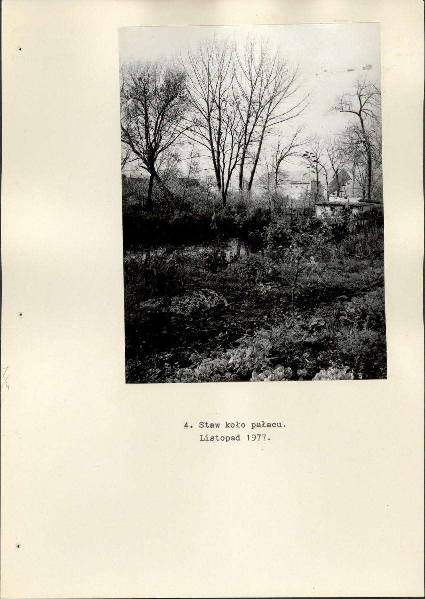 Ewidencja parkowa, skan nr 25