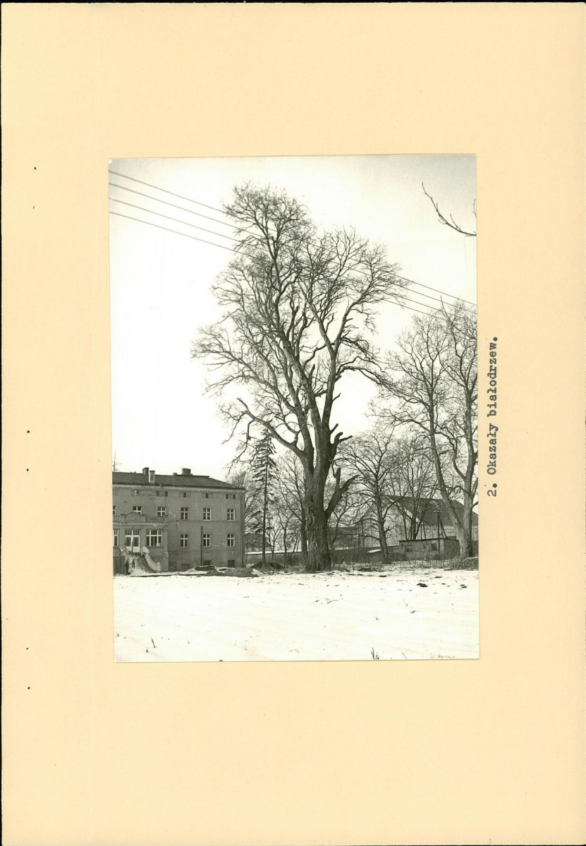 Ewidencja parkowa, skan nr 14