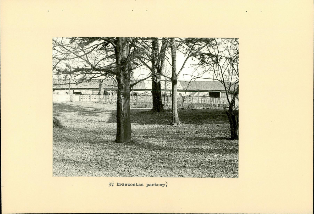 Ewidencja parkowa, skan nr 13