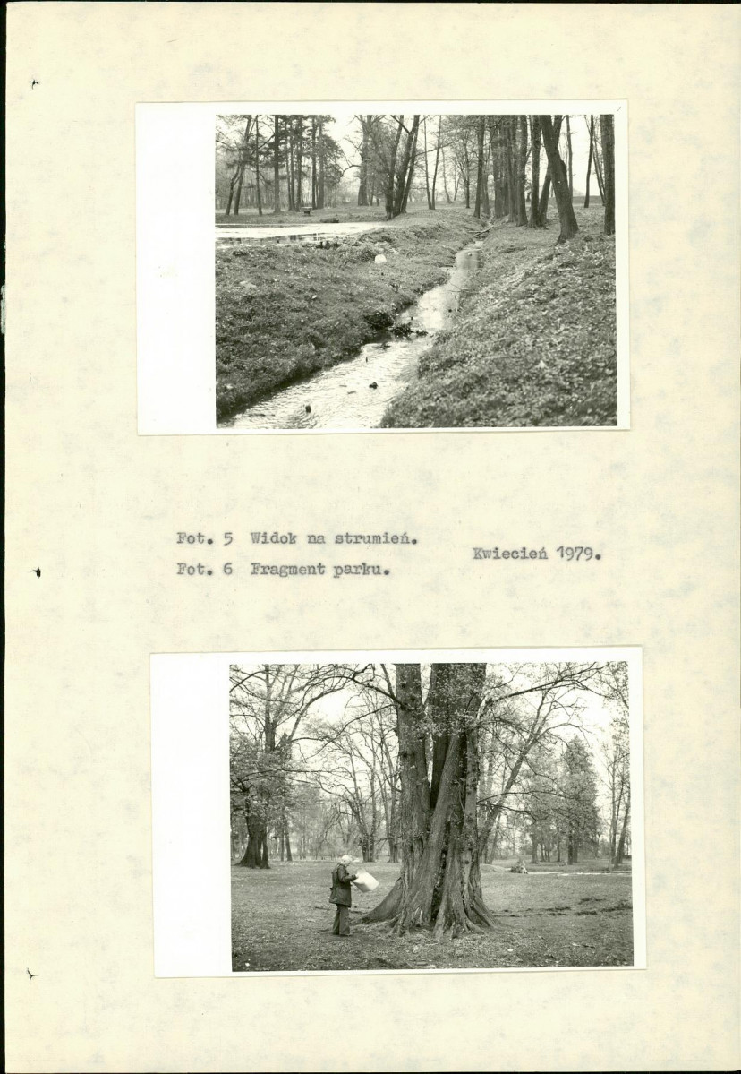 Ewidencja parkowa, skan nr 15