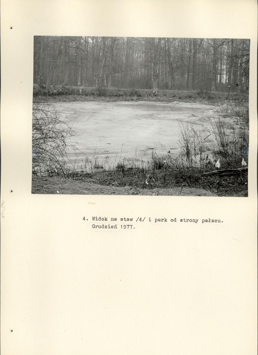 Ewidencja parkowa, skan nr 24