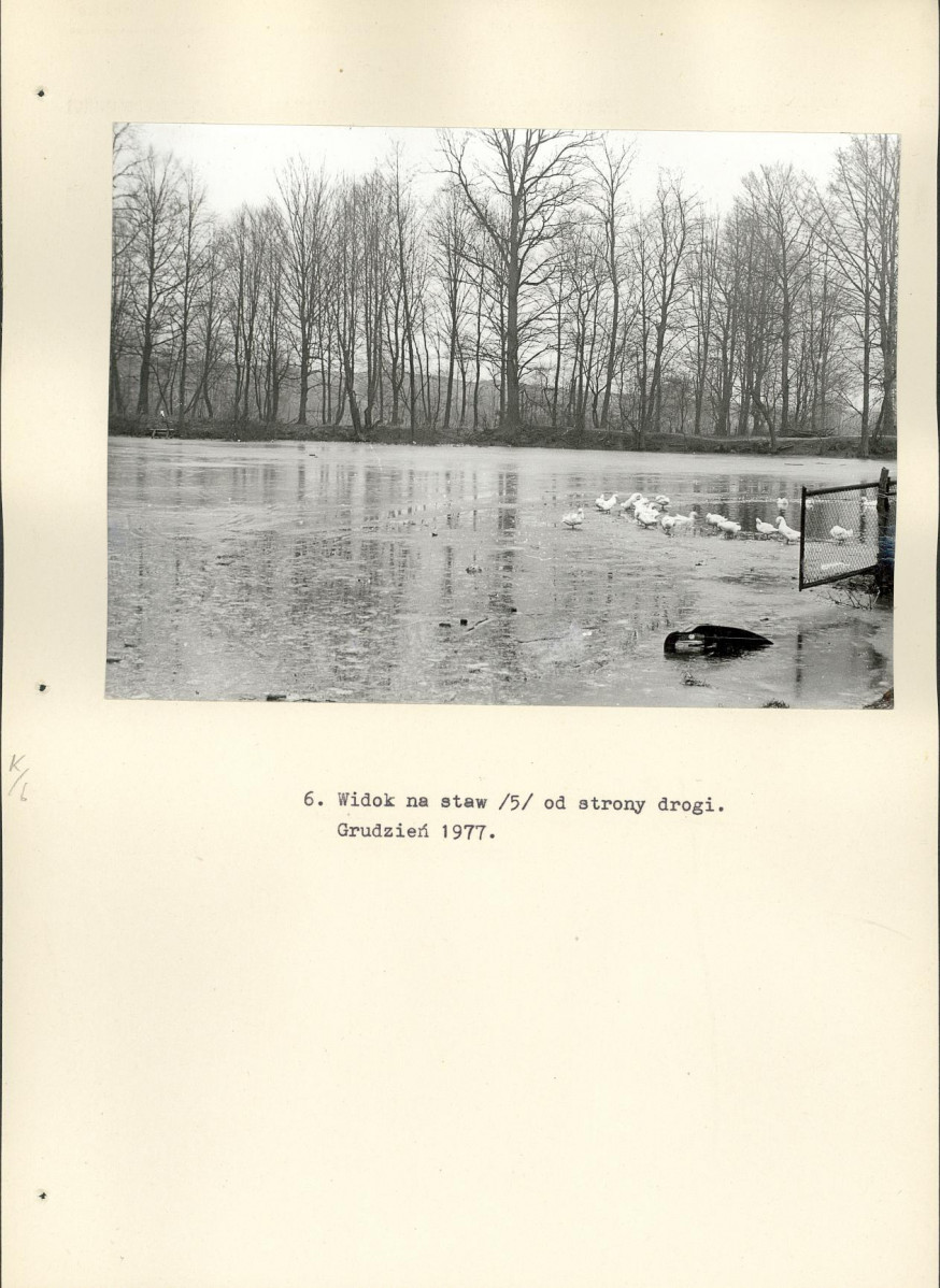 Ewidencja parkowa, skan nr 26