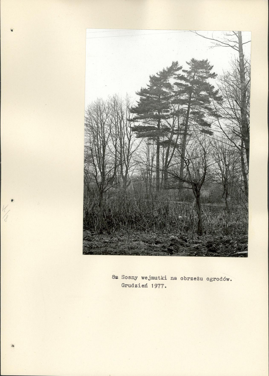Ewidencja parkowa, skan nr 28