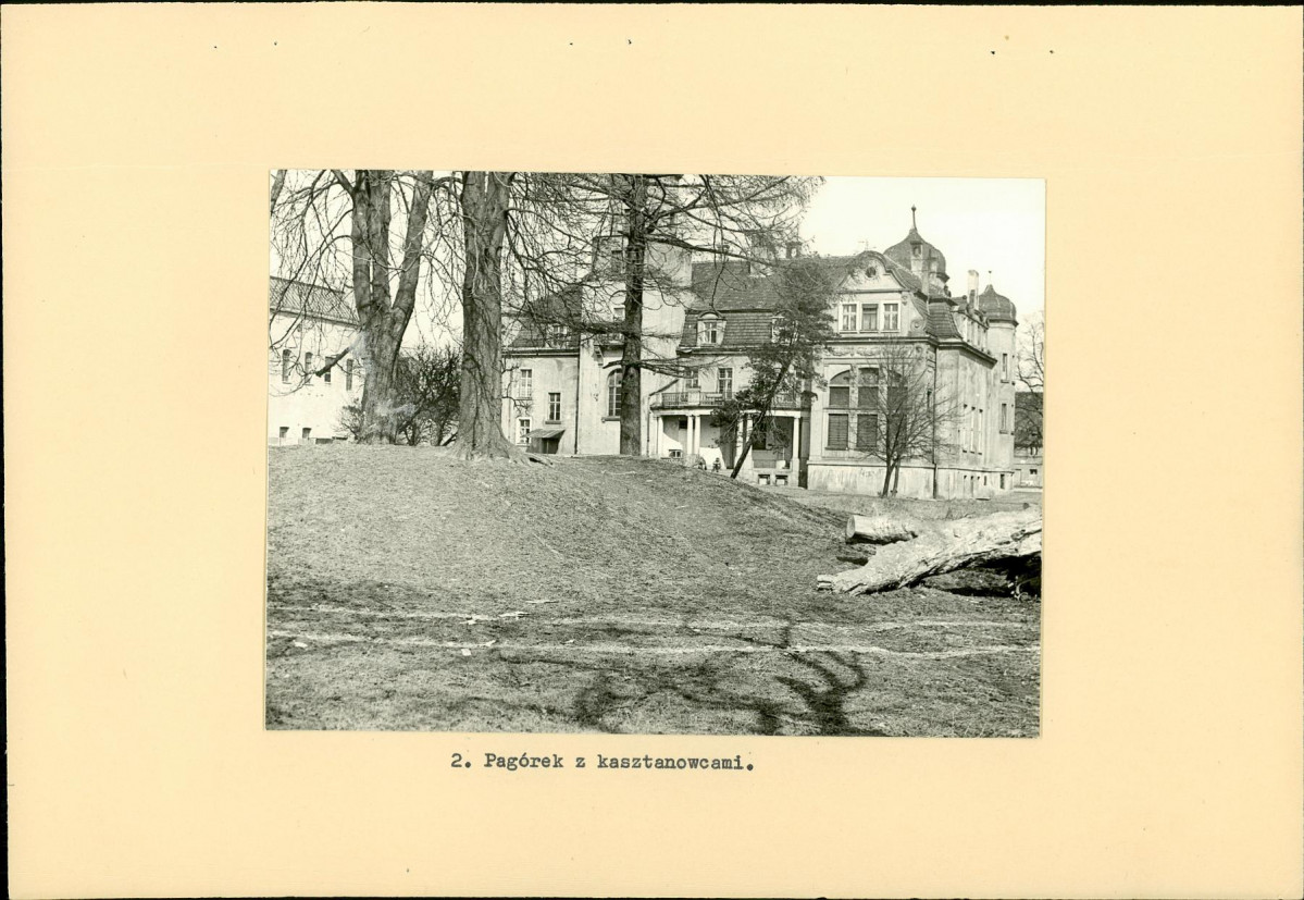 Ewidencja parkowa, skan nr 16