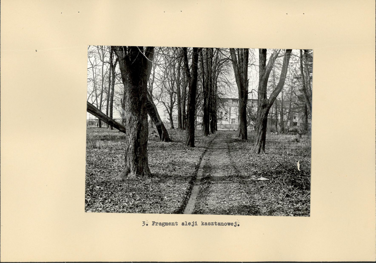 Ewidencja parkowa, skan nr 17