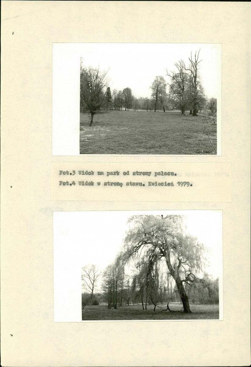 Ewidencja parkowa, skan nr 16