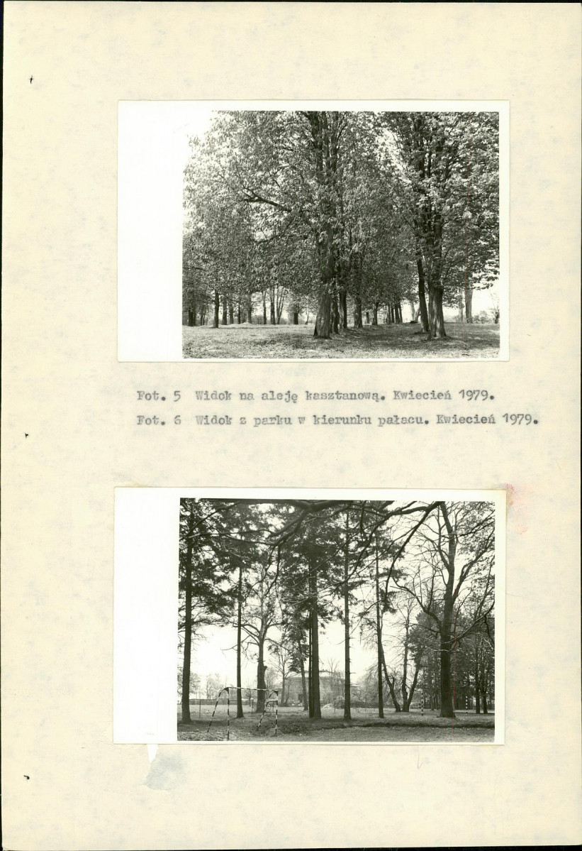 Ewidencja parkowa, skan nr 17