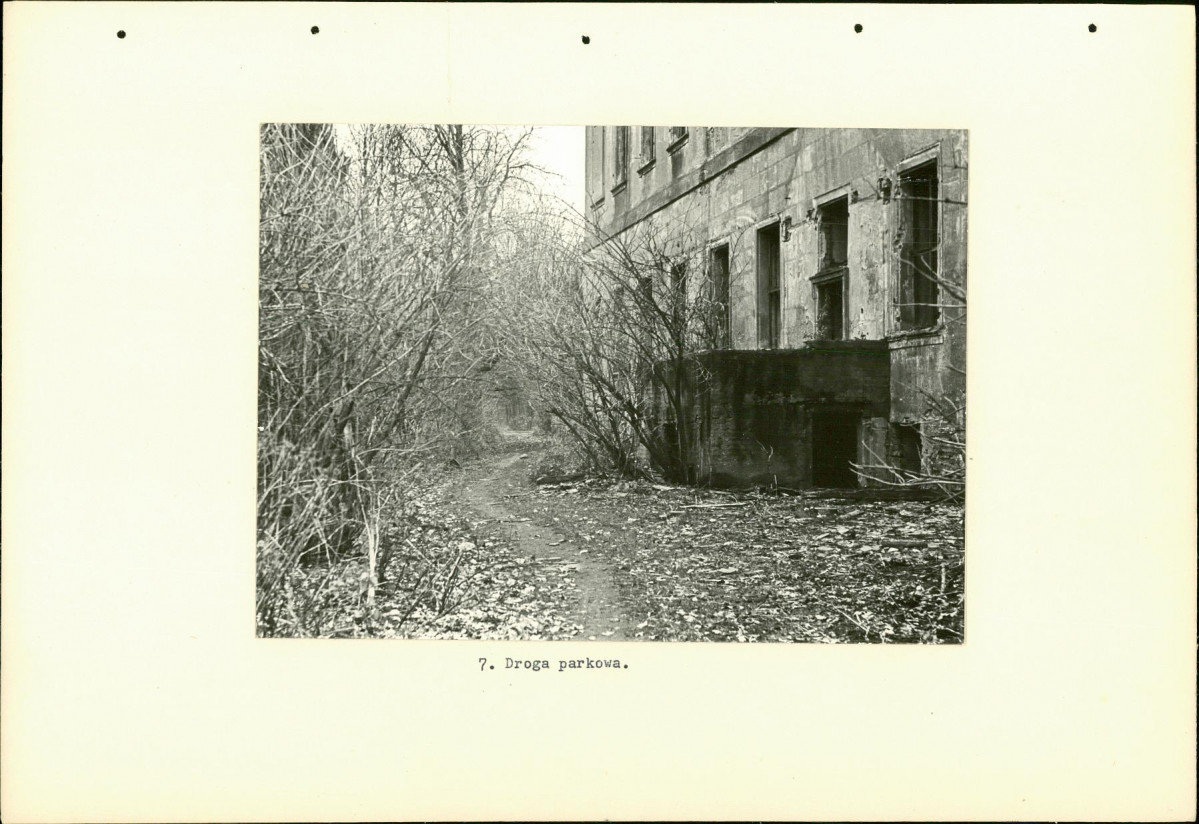 Ewidencja parkowa, skan nr 19