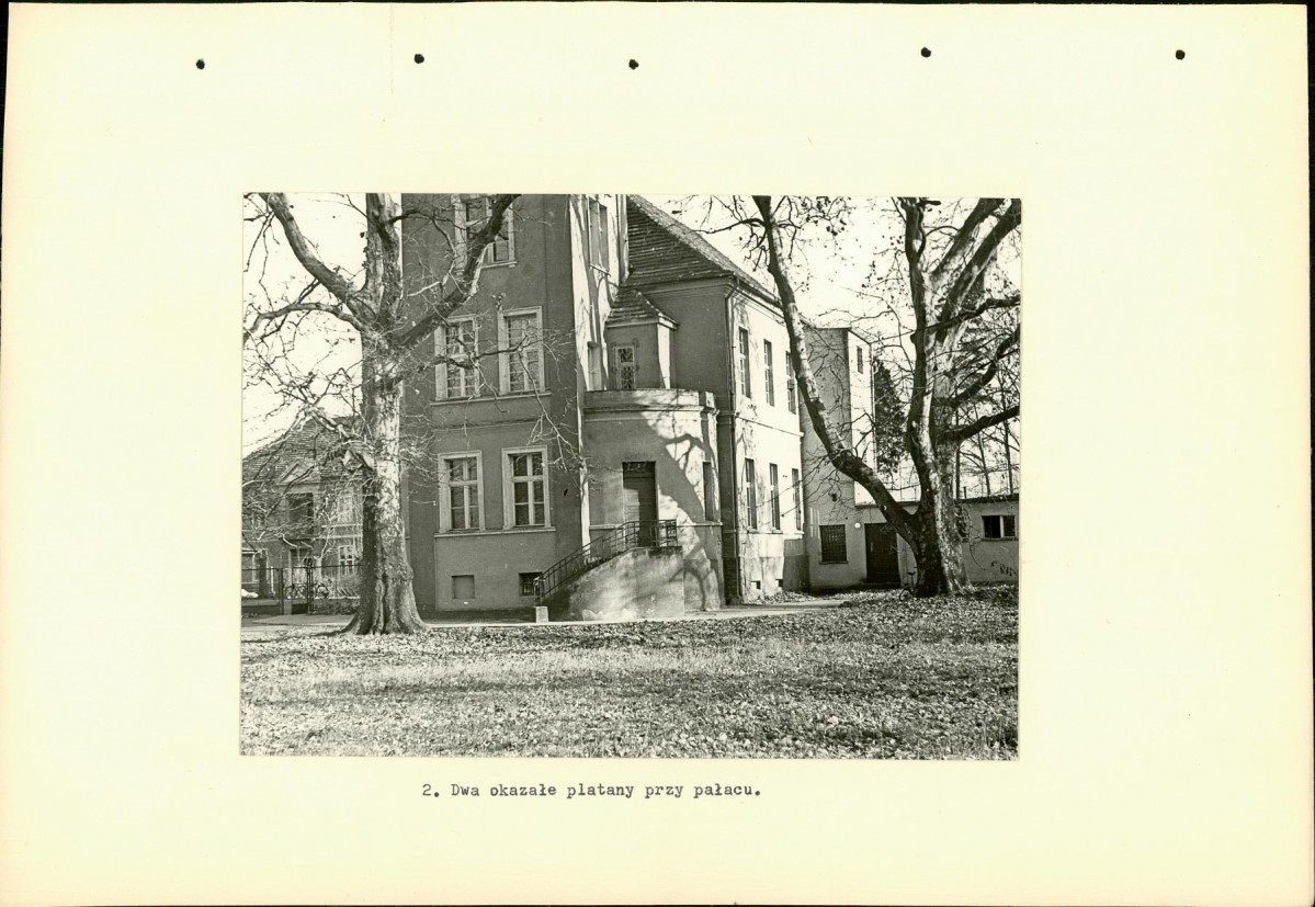Ewidencja parkowa, skan nr 14