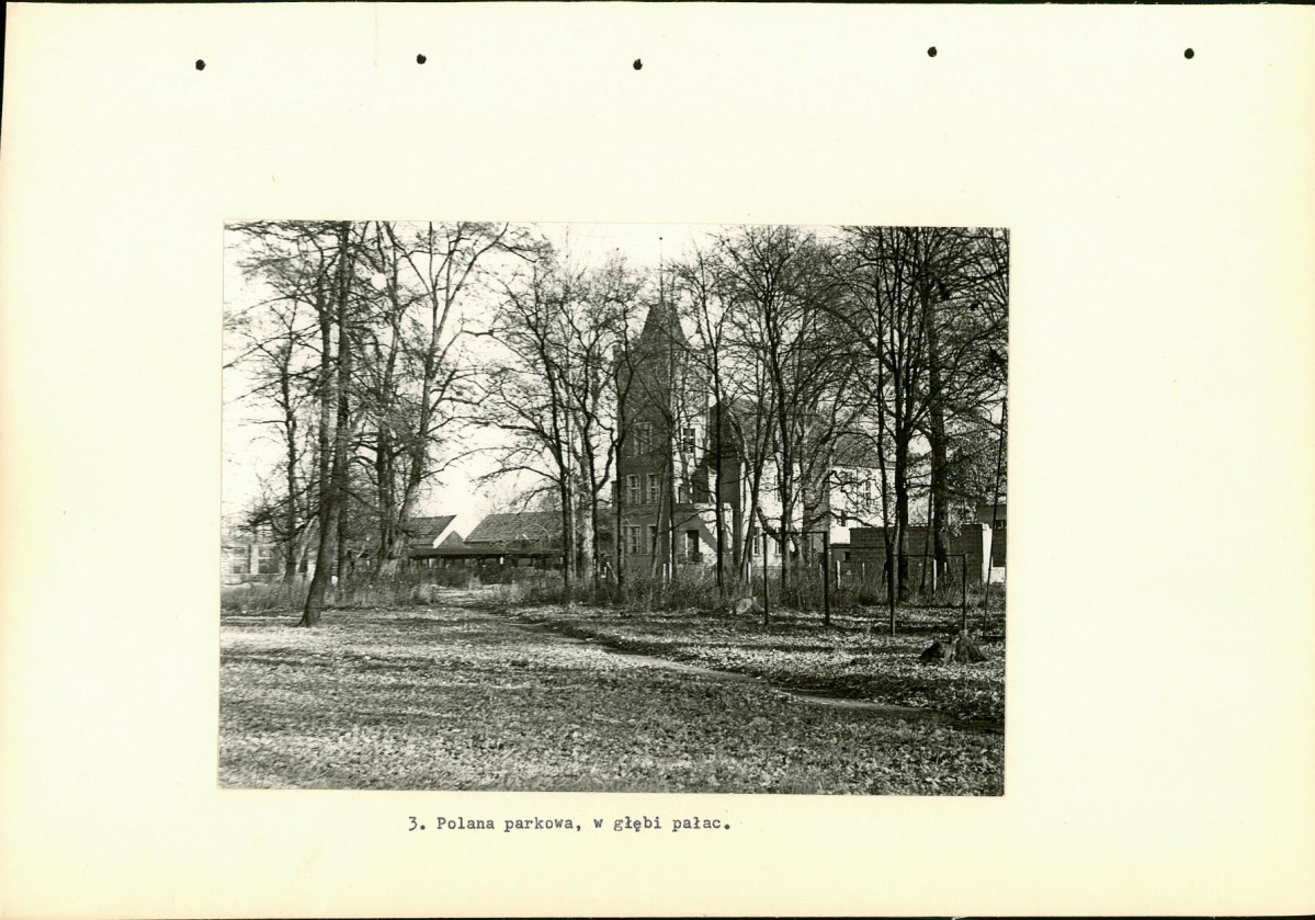 Ewidencja parkowa, skan nr 15