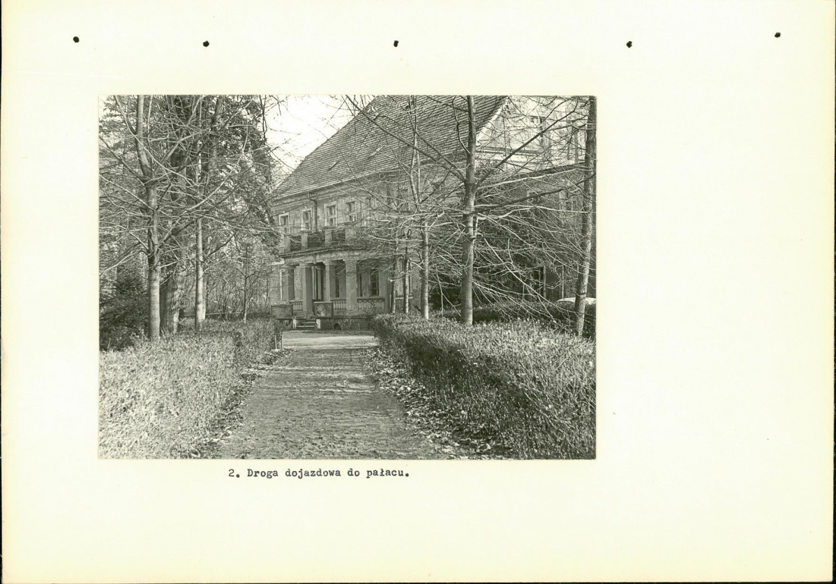 Ewidencja parkowa, skan nr 13