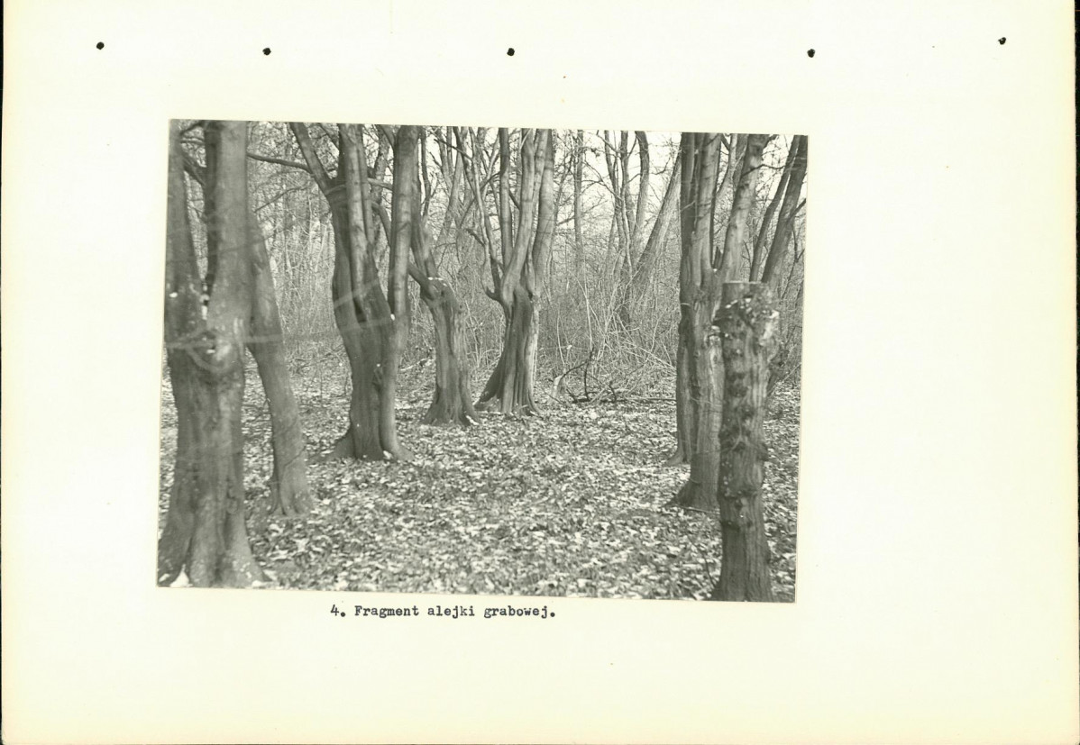 Ewidencja parkowa, skan nr 15