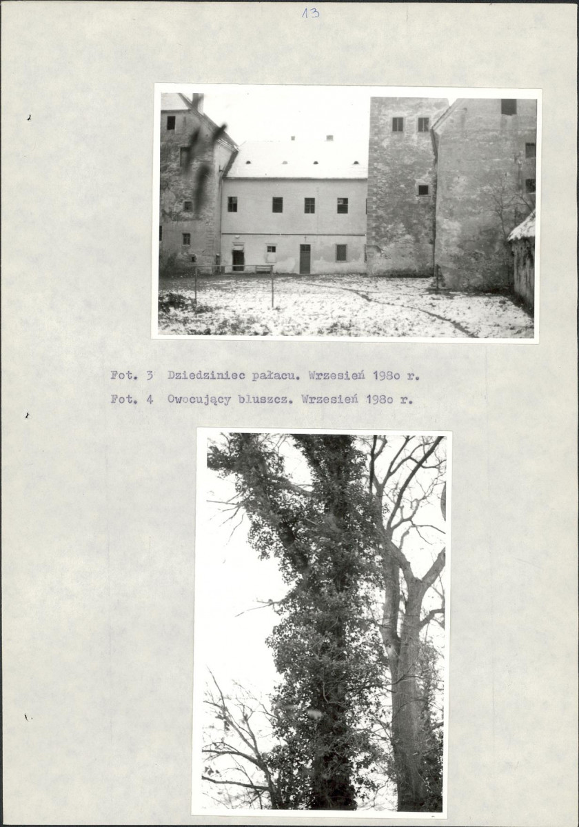 EP - Ewidencja parkowa, skan nr 19