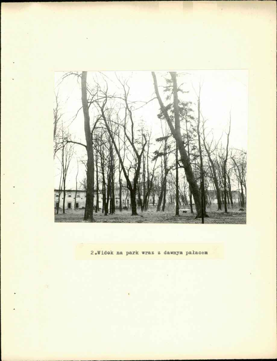 Ewidencja parkowa, skan nr 11