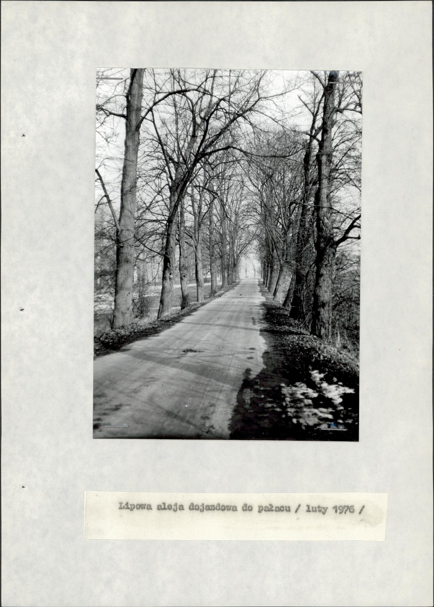 Ewidencja parkowa, skan nr 19