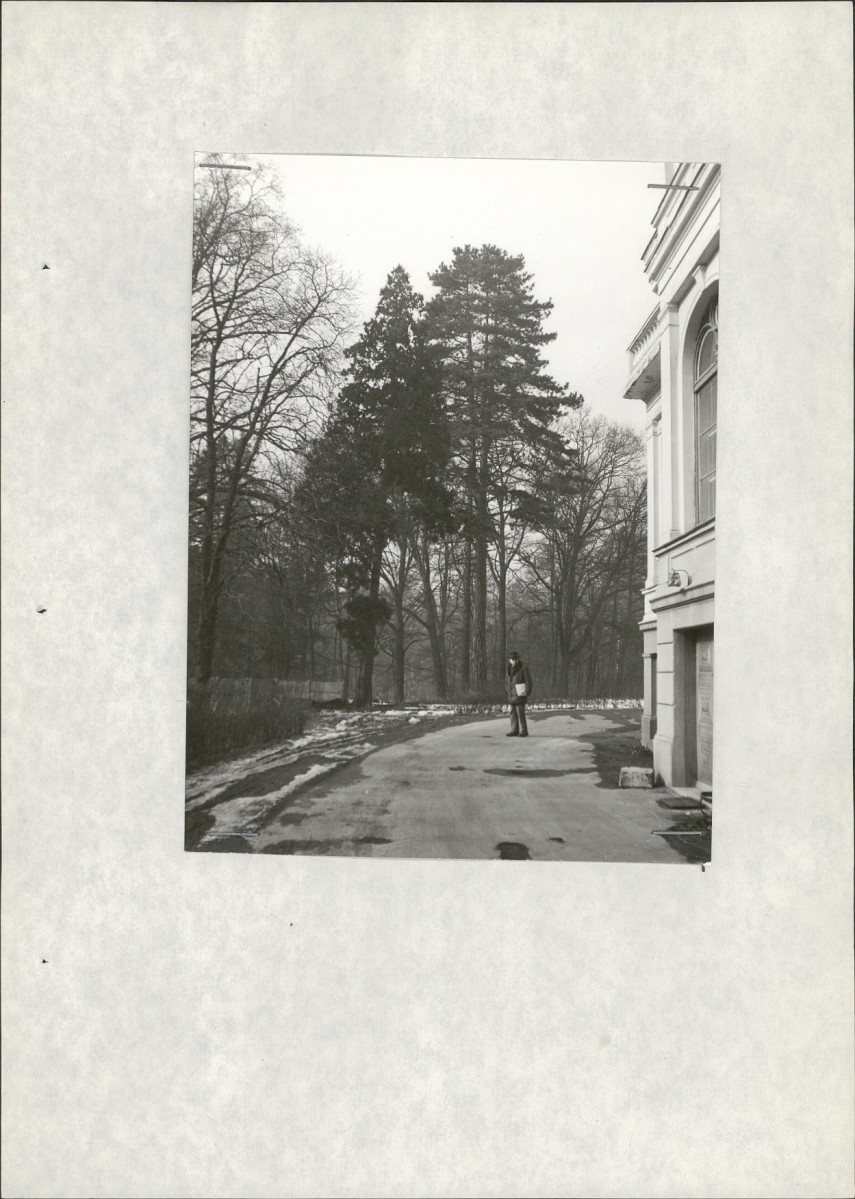 Ewidencja parkowa, skan nr 20