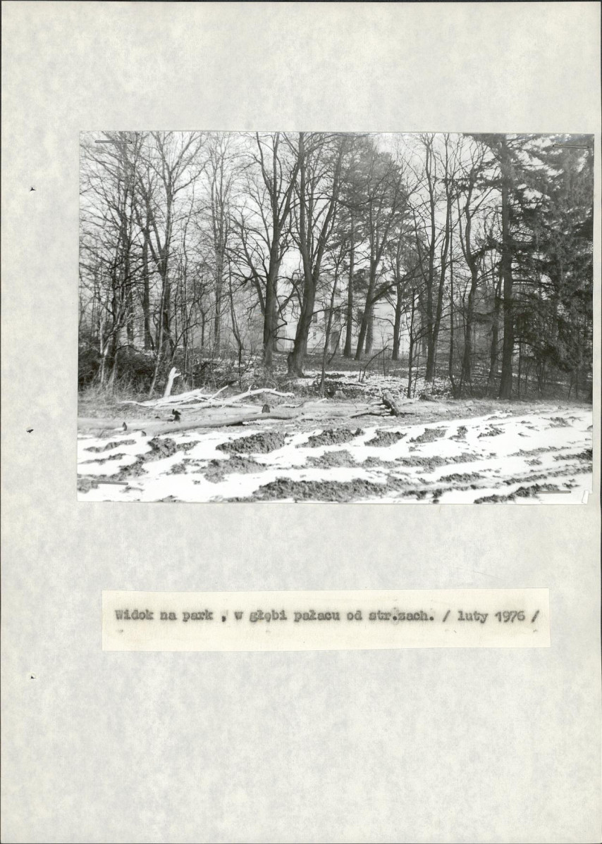 Ewidencja parkowa, skan nr 22