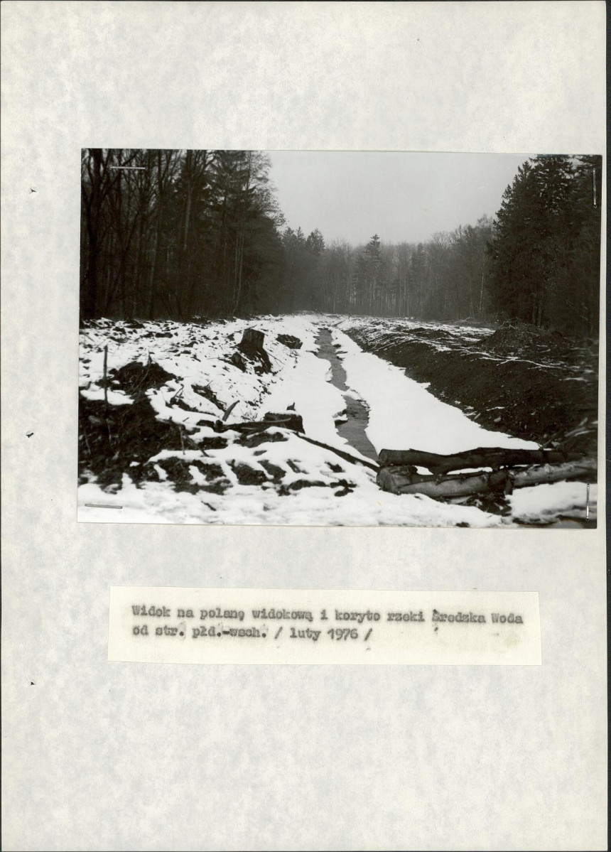 Ewidencja parkowa, skan nr 24
