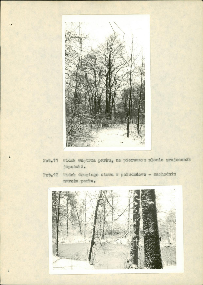 Ewidencja parkowa, skan nr 25