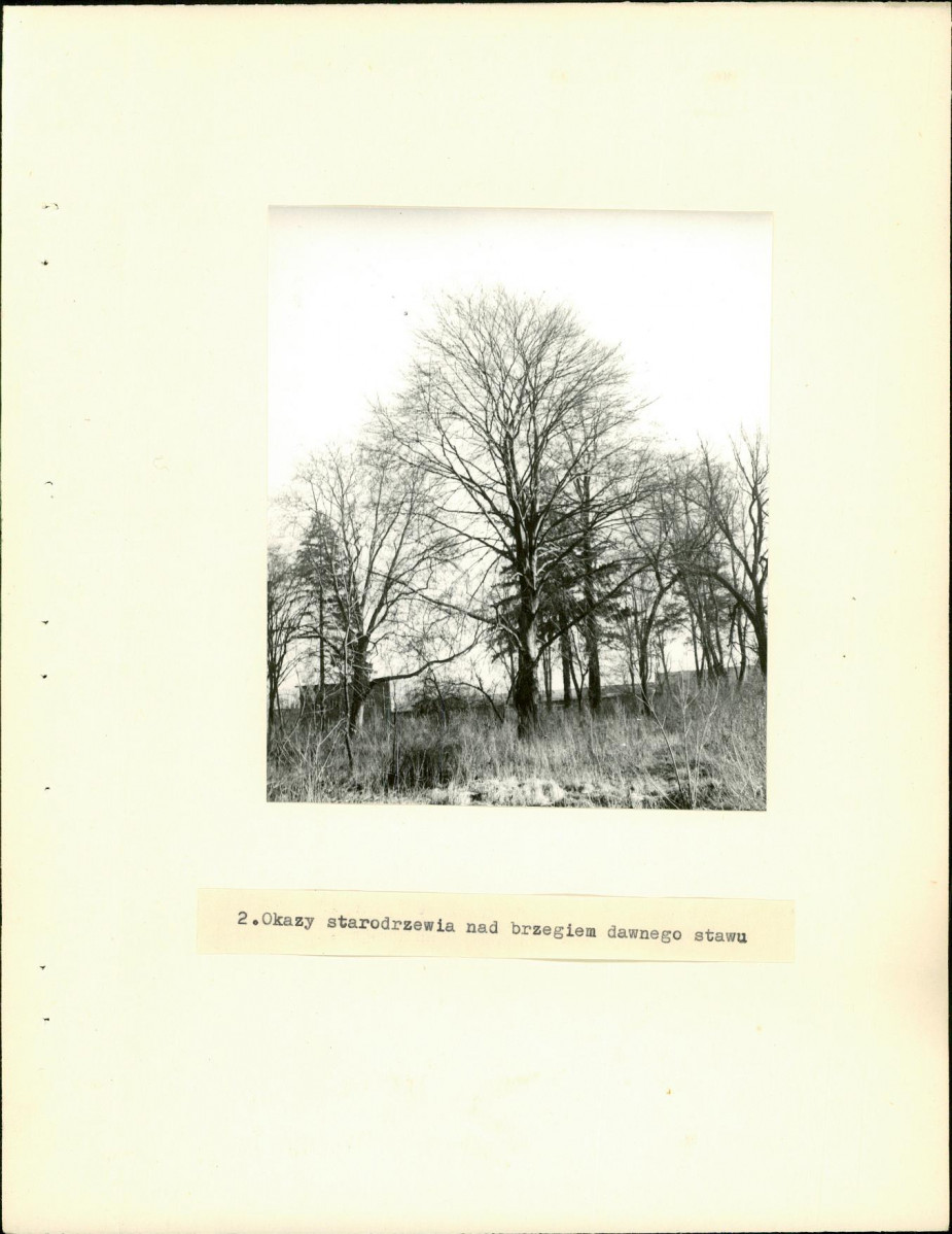 Ewidencja parkowa, skan nr 10