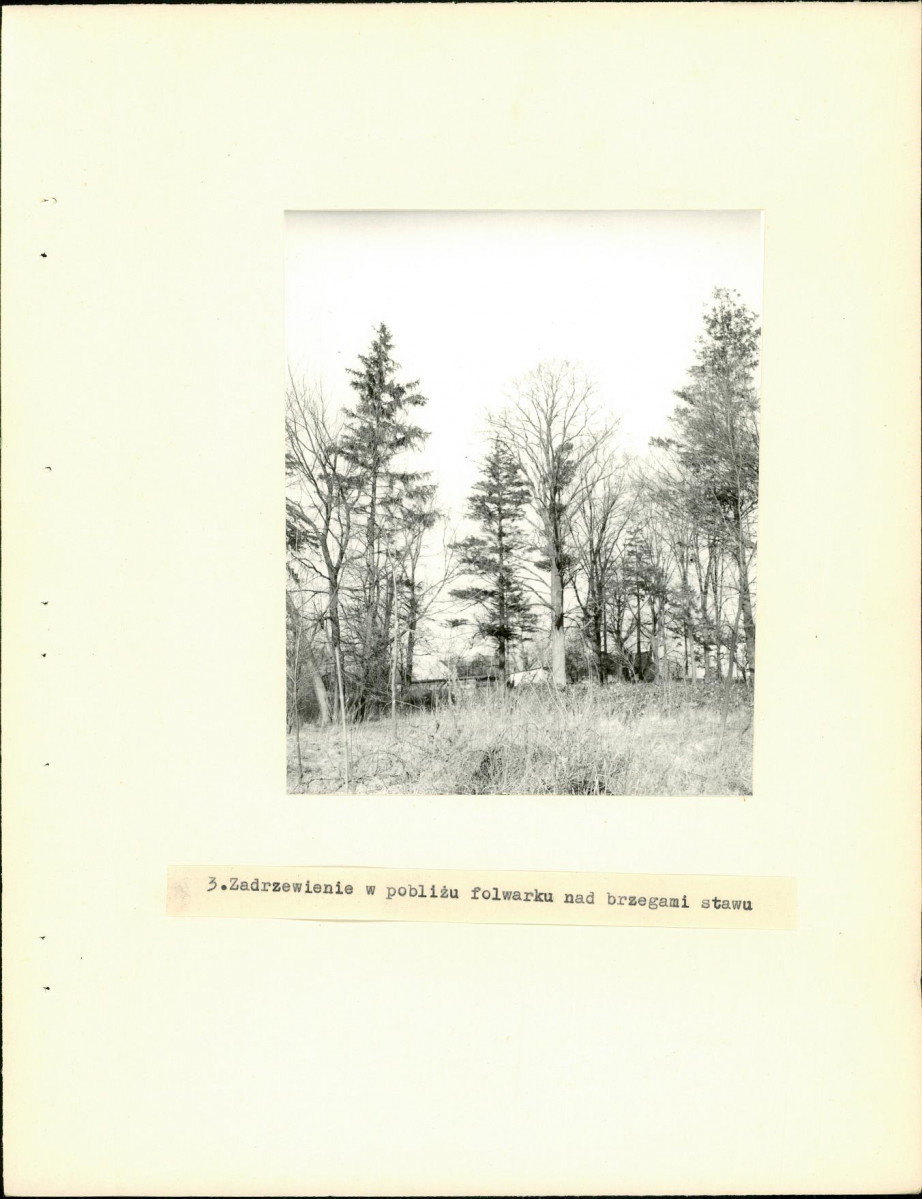 Ewidencja parkowa, skan nr 11