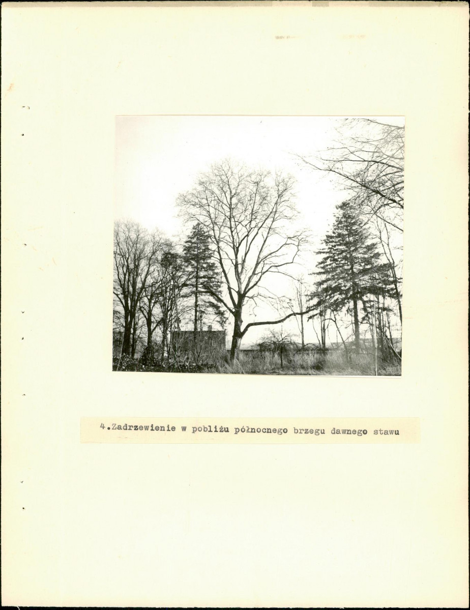 Ewidencja parkowa, skan nr 12
