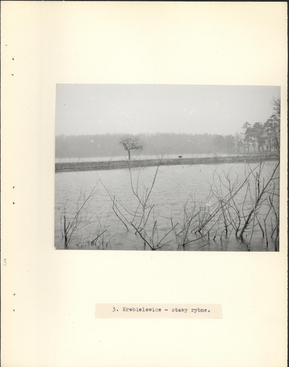 Ewidencja parkowa, skan nr 13
