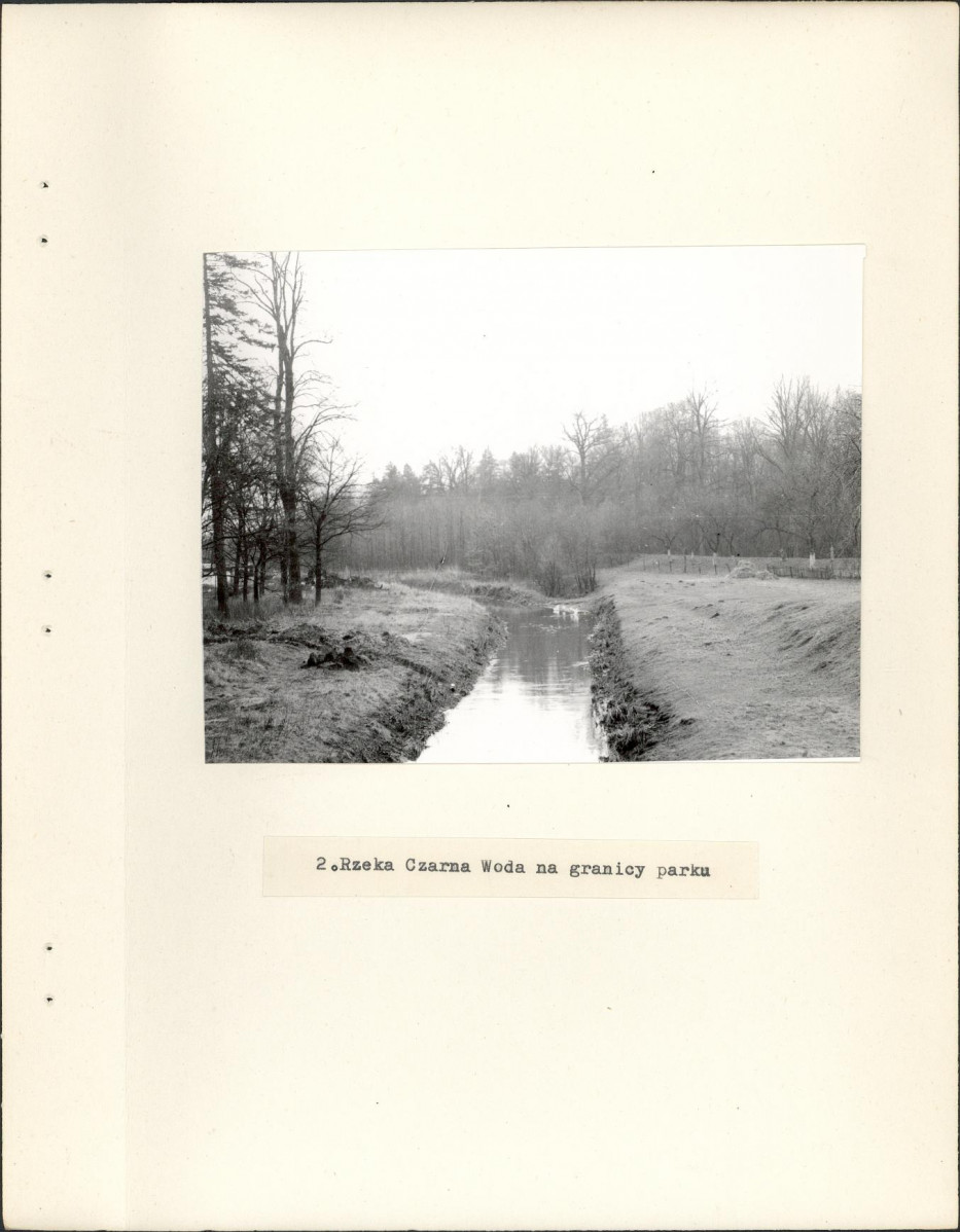 Ewidencja parkowa, skan nr 10
