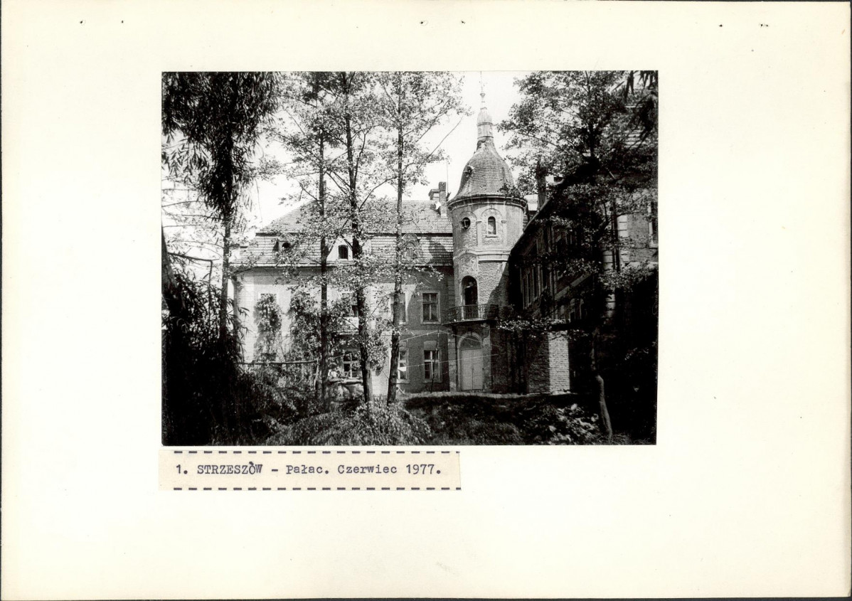 Ewidencja parkowa, skan nr 25