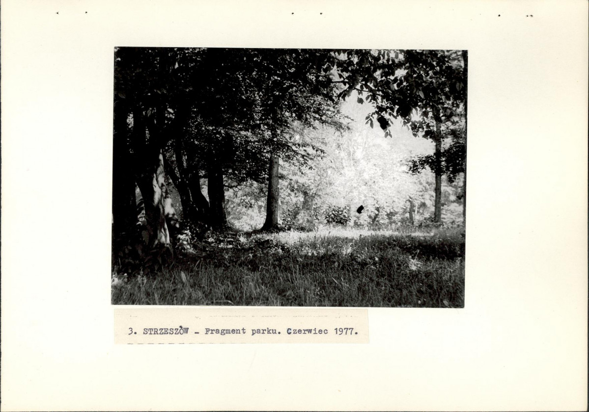 Ewidencja parkowa, skan nr 27