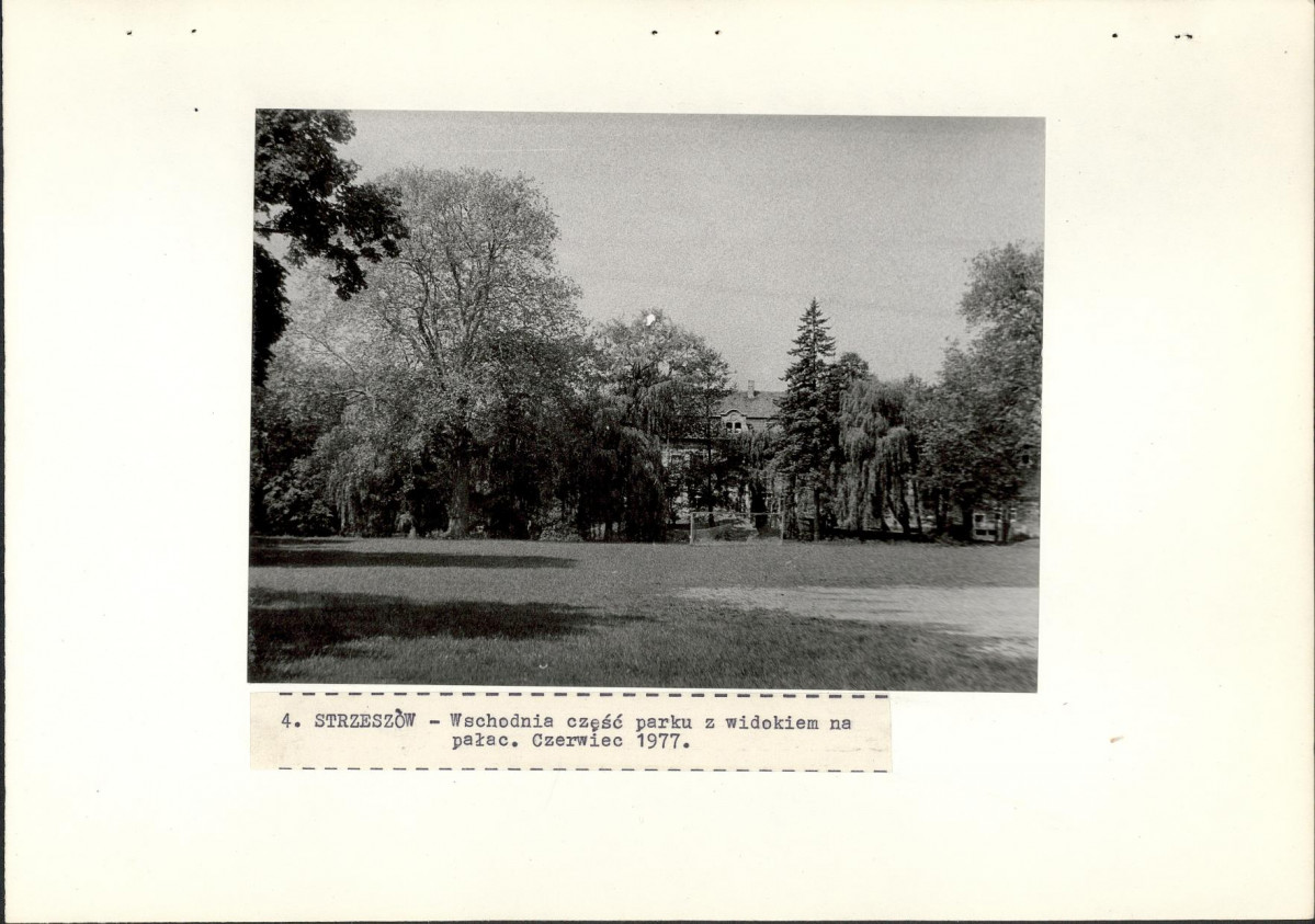 Ewidencja parkowa, skan nr 28