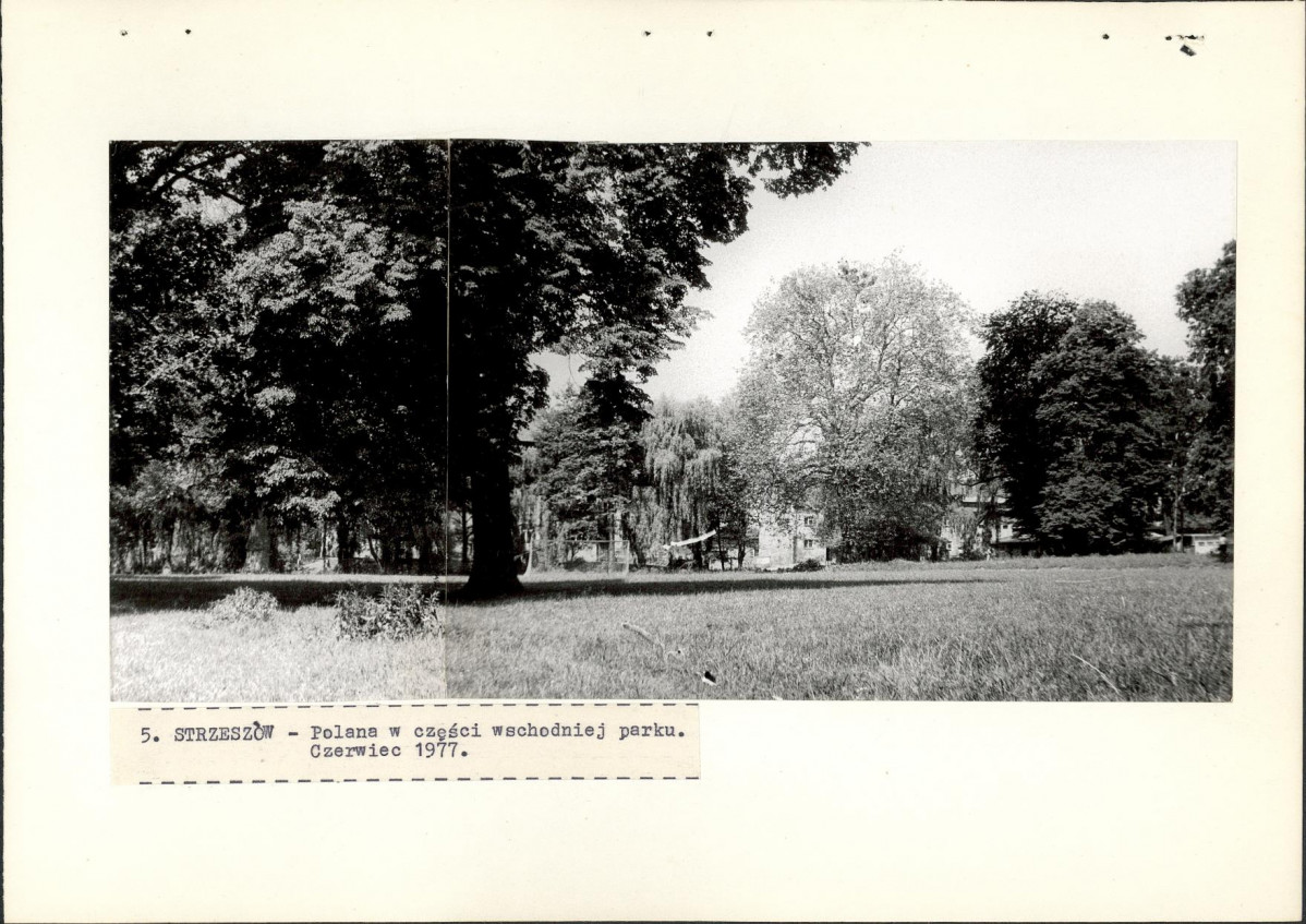 Ewidencja parkowa, skan nr 29