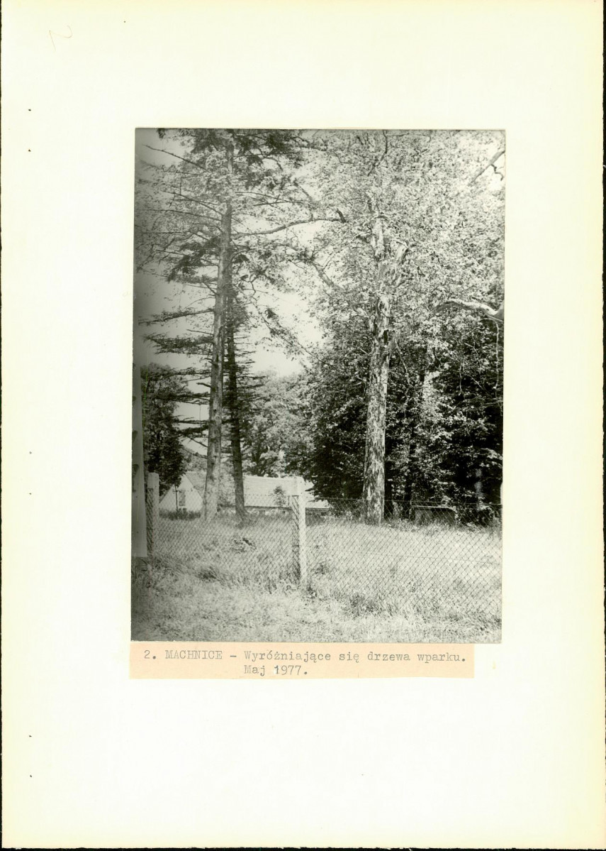 Ewidencja parkowa, skan nr 24