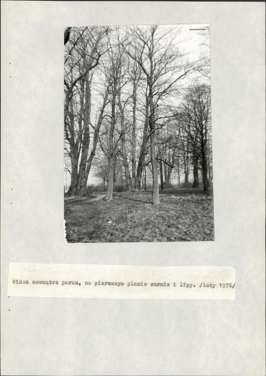 Ewidencja parkowa, skan nr 18