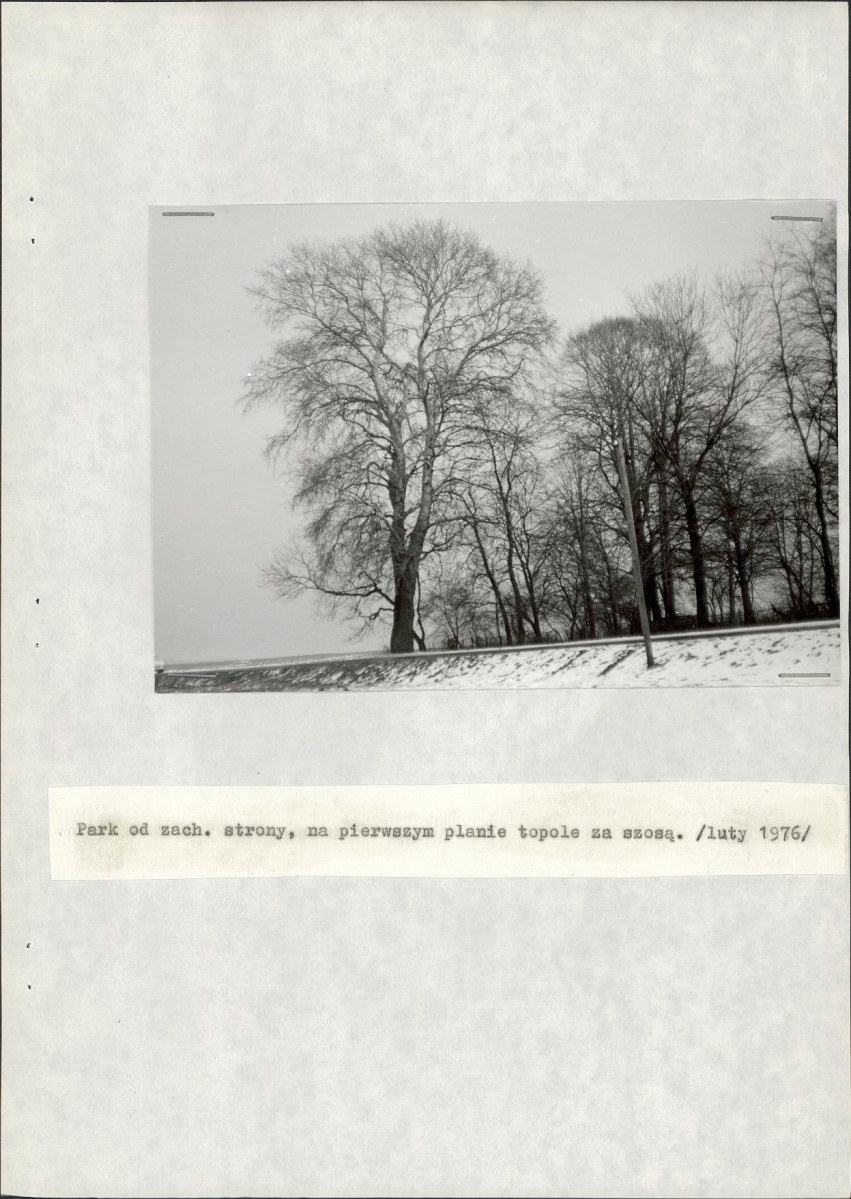 Ewidencja parkowa, skan nr 20