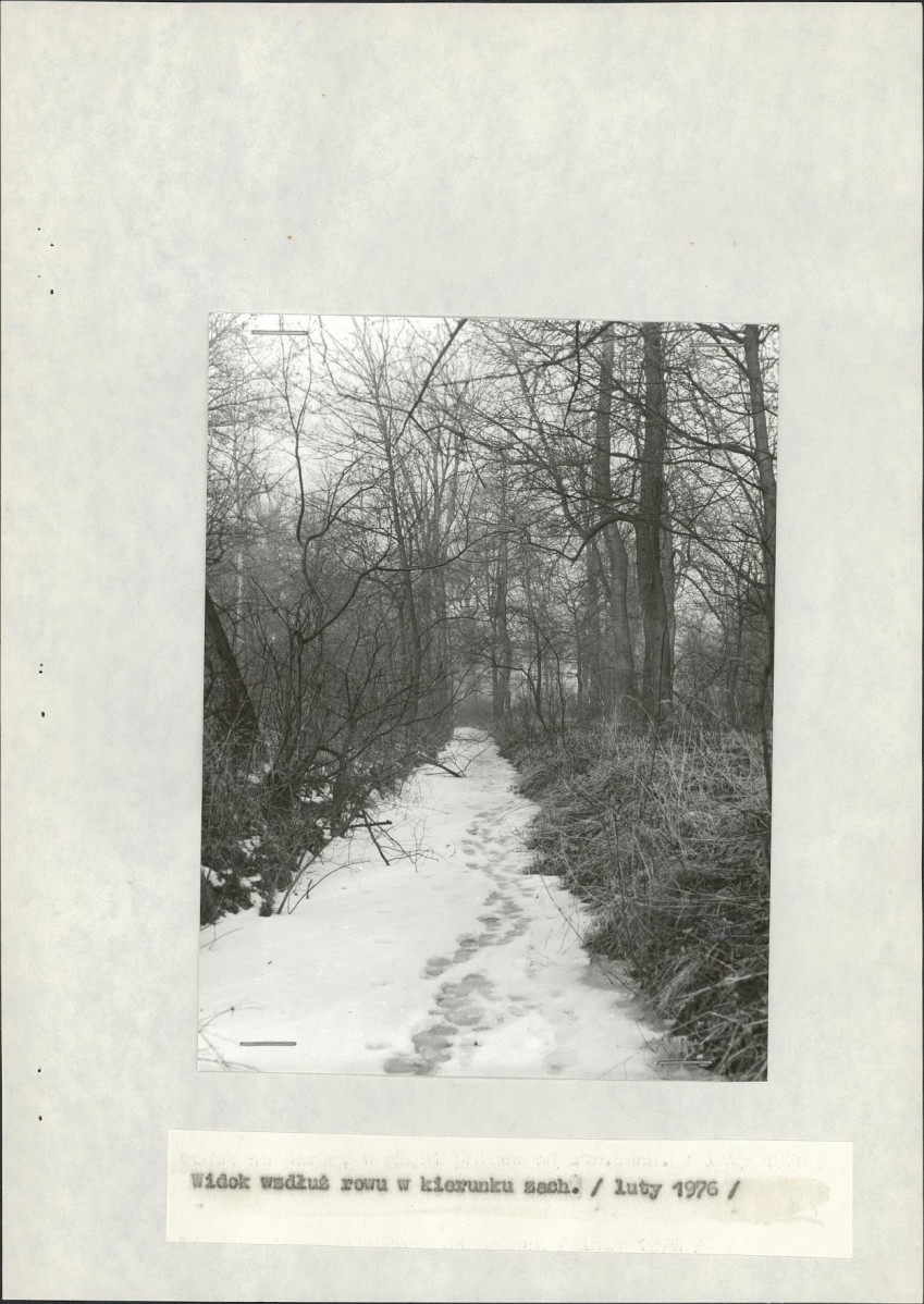 Ewidencja parkowa, skan nr 24