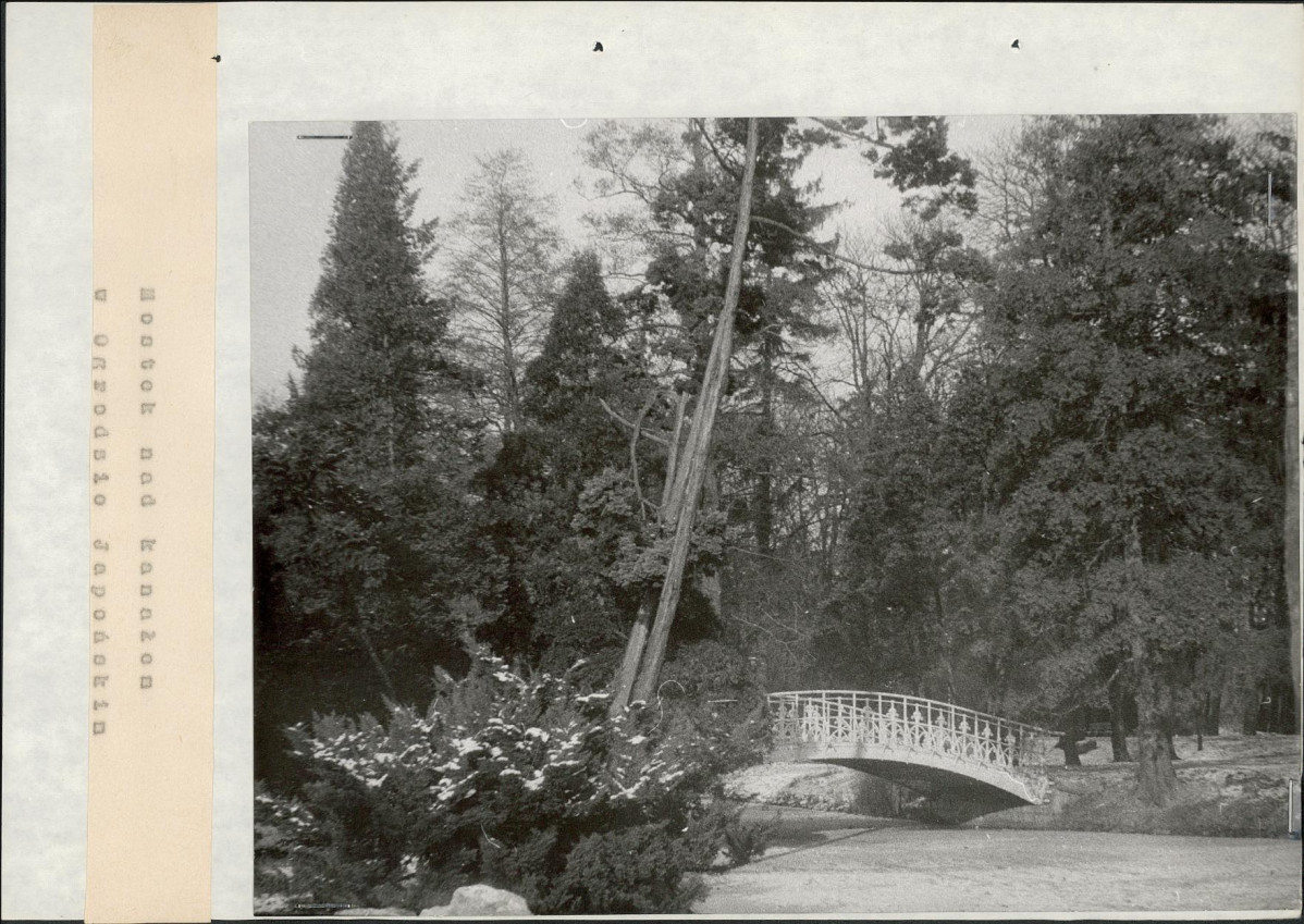 Ewidencja parkowa, skan nr 32