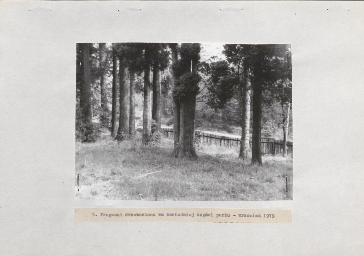 Ewidencja parkowa, skan nr 21