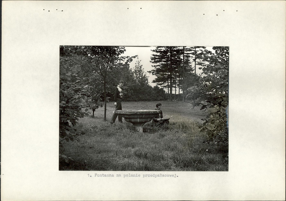 Ewidencja parkowa, skan nr 15