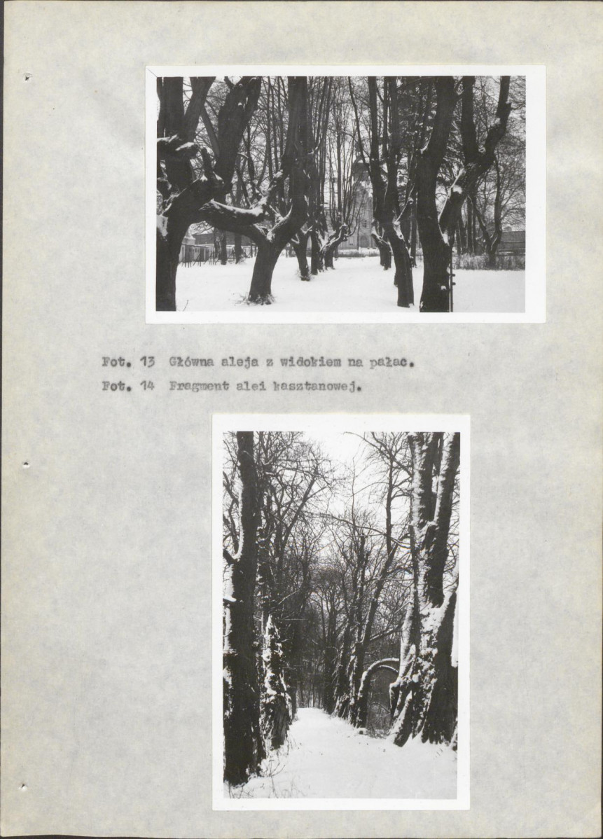 EP - Ewidencja parkowa, skan nr 22