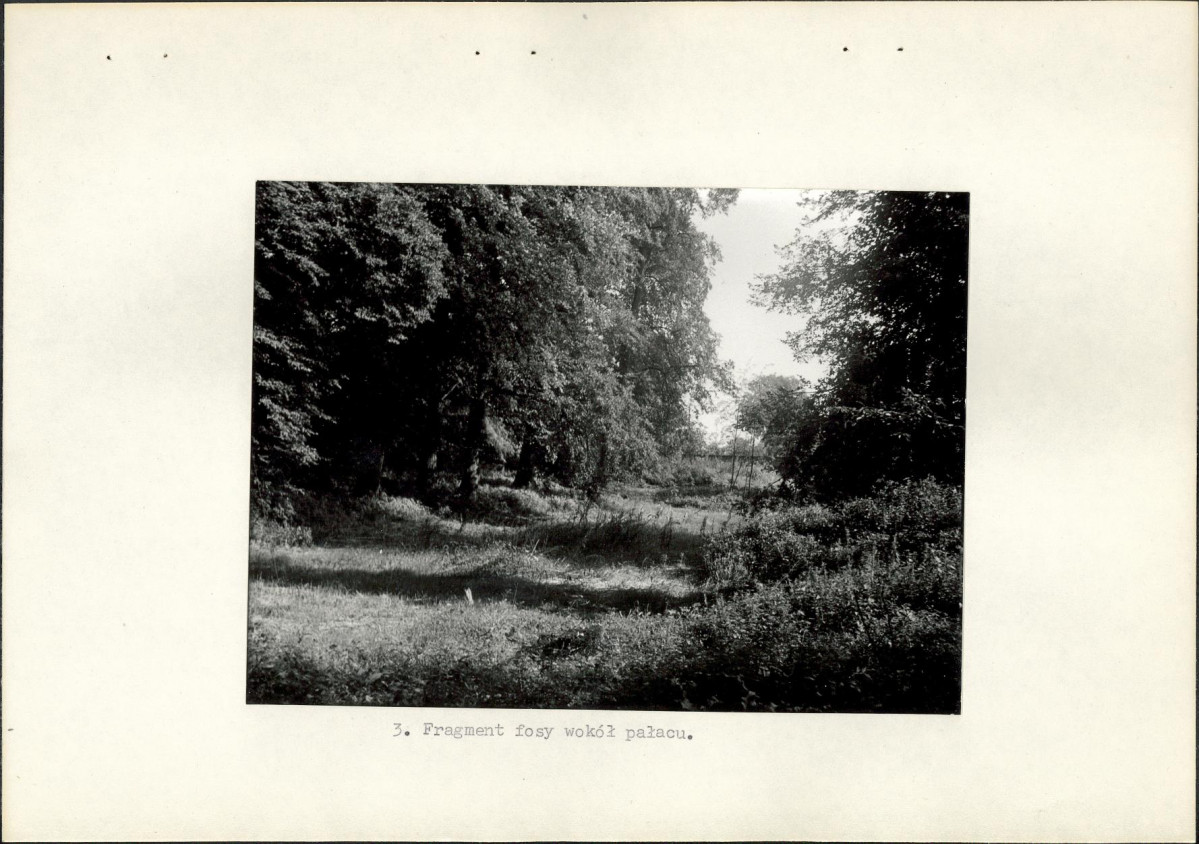 Ewidencja parkowa, skan nr 16