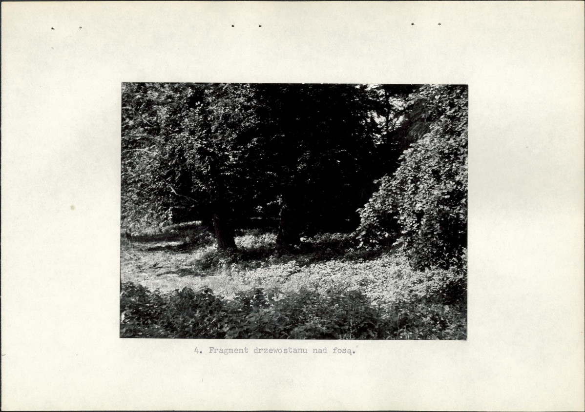 Ewidencja parkowa, skan nr 17