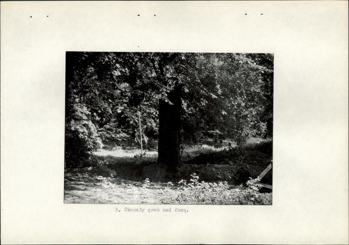 Ewidencja parkowa, skan nr 18