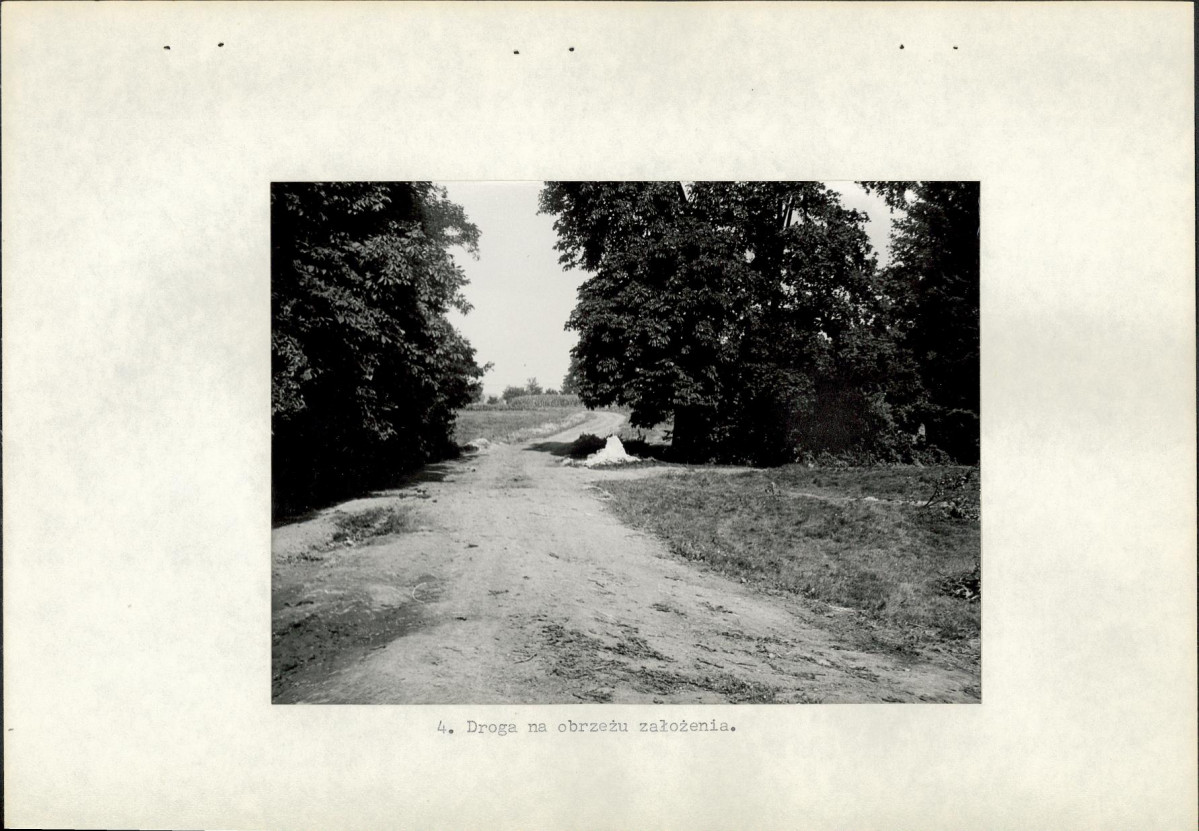 Ewidencja parkowa, skan nr 17